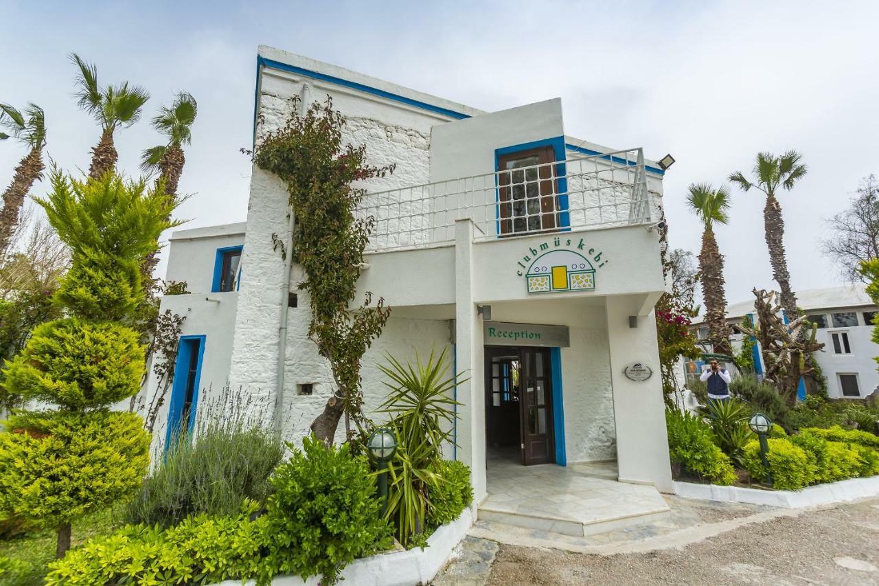 Club Muskebi Ξενοδοχείο Αλικαρνασσός Εξωτερικό φωτογραφία